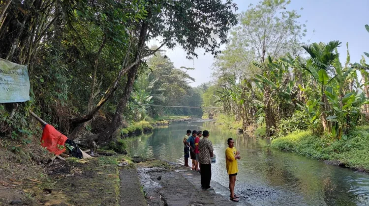 Konservasi Ikan Sungai Berem Banyumas Bertahan Empat Tahun