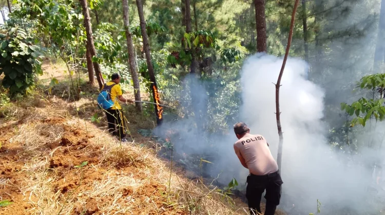 Dua Hari Berturut-turut Lahan Terbakar di Kebumen