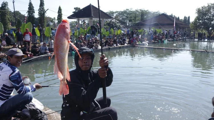 Lomba Mancing Gratis Purbalingga Diikuti 1.360 Peserta