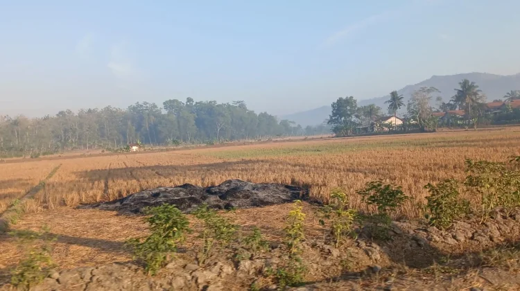 Kemarau Kering di Banyumas Raya Berpotensi Tingkatkan Risiko ISPA
