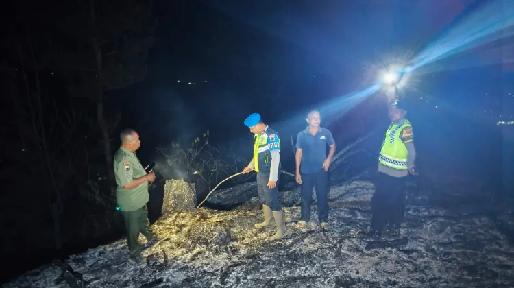 Kebakaran Lahan Perhutani di Karanggayam, Api Padam Setelah Dua Jam