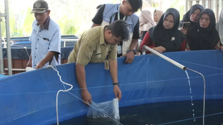 Cegah Anemia Remaja, Mahasiswa UMP Kembangkan "Bunila" dan "Bestitani"