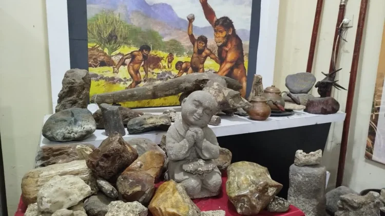 Museum Purbakala Bumiayu Dorong Pelestarian Fosil dan Edukasi Sejarah