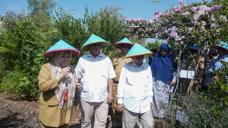 Kembangkan Kedokteran Herbal, UMP Bangun Kebun Tanaman Obat