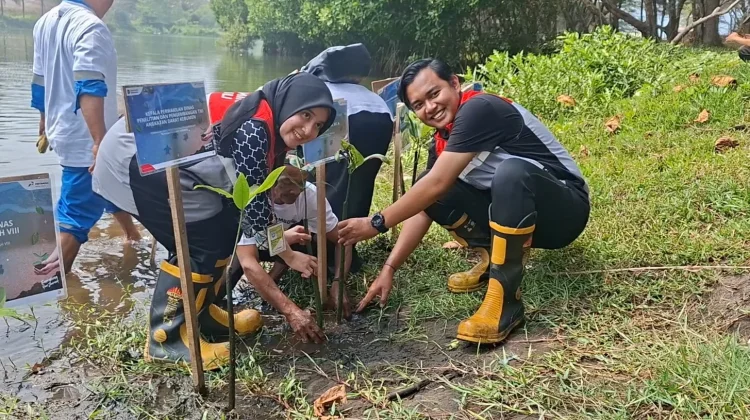 Konservasi Pantai Lembupurwo, Pertamina Lepas Tukik dan Tanam Cemara-Mangrove