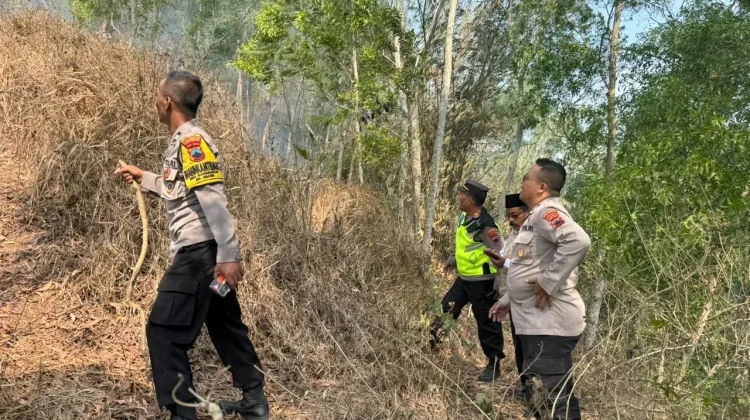 Kebakaran Lahan di Kebasen Banyumas Berhasil Dipadamkan Sebelum Meluas