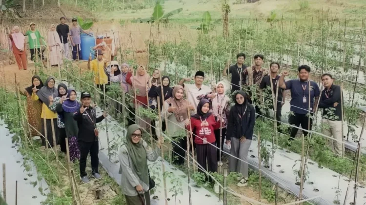Dorong Pertanian Berkelanjutan, KKN UNUGHA Cilacap Latih Kelompok Tani Srimulya