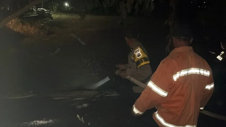 Kebun Kelengkeng di Linggasari Terbakar, Diduga akibat Pembakaran Rumput Kering