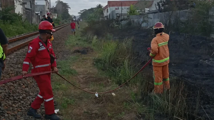 Kebakaran Lahan di Cilacap Sempat Ganggu Perjalanan KA Sancaka Utara