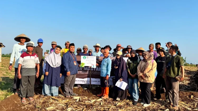 Petani Limbangan Manfaatkan Limbah Jagung untuk Pupuk Organik dan Biopestisida