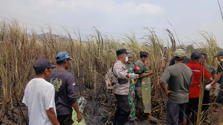 Polisi Evakuasi Warga Meninggal Dunia dengan Luka Bakar di Persawahan Warureja
