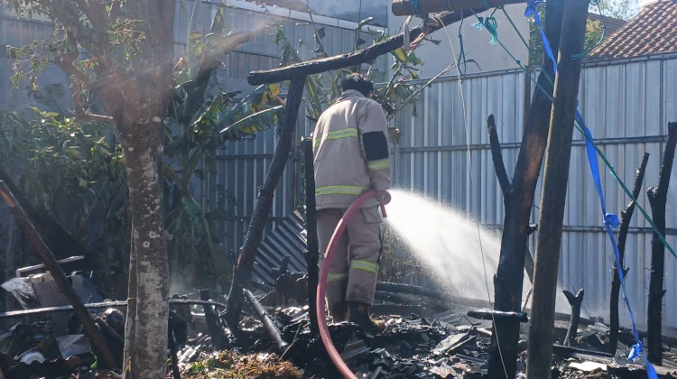 Dua Kambing di Jeruklegi Terbakar, Diduga Api dari Tungku Pawon
