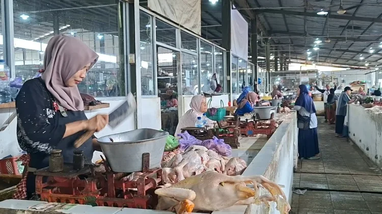 Harga Ayam hingga Cabai Jadi Pemicu Inflasi Cilacap Agustus 2026 Capai 0,50 Persen