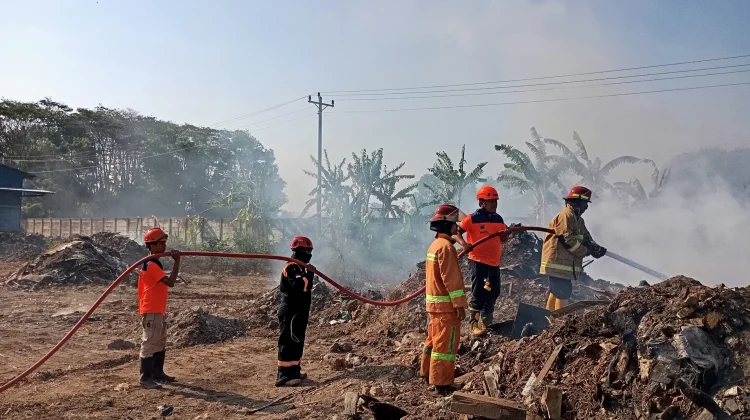 Diduga akibat Bakar Sampah, Lahan di Jalan Lingkar Selatan Cilacap Terbakar