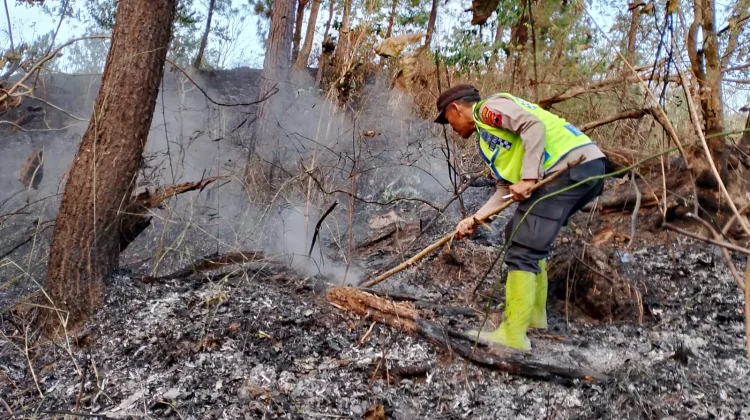 Kebakaran Lahan Merambat ke Hutan, Warga dan Polisi Turun Tangan