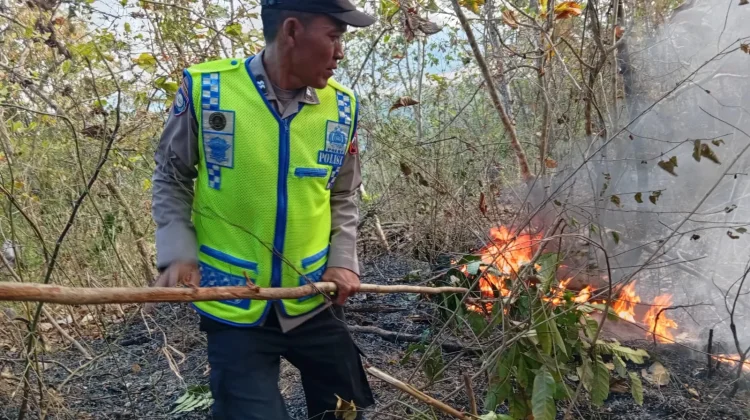 Kebakaran Lahan Merambat ke Hutan, Warga dan Polisi Turun Tangan