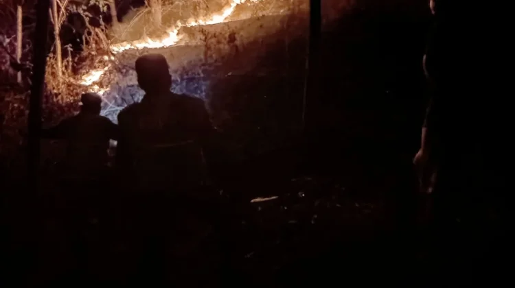 Lahan Kering 2,5 Hektare Terbakar di Jatilawang