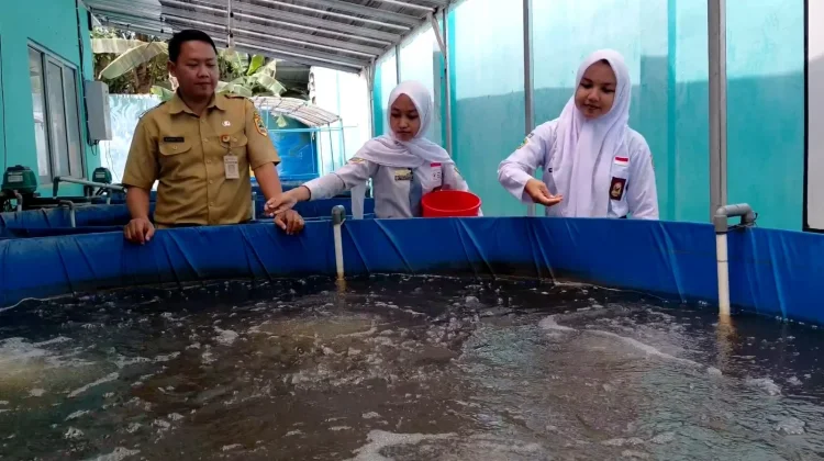 Musim Kemarau, Bioflok Jadi Solusi Budidaya Ikan Hemat Air
