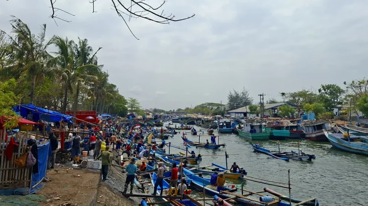 Nelayan Cilacap Panen Ubur-Ubur, Berkah di Musim Kemarau