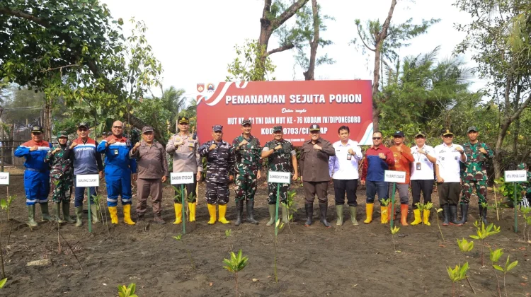 Cegah Abrasi, Kodim Cilacap Tanam 1.000 Mangrove dan 100 Pohon Kopi di Pantai Sodong