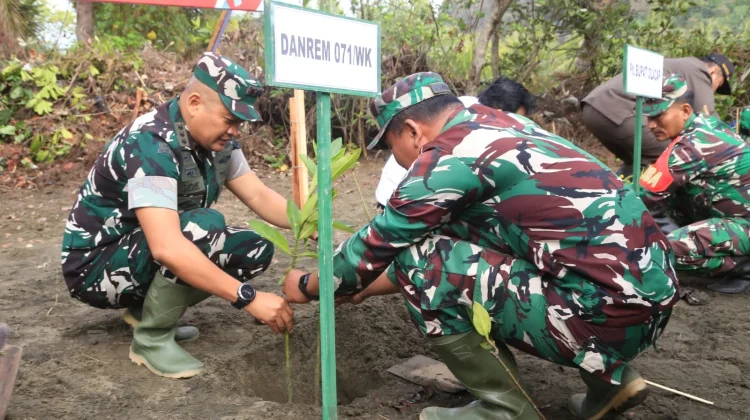 Cegah Abrasi, Kodim Cilacap Tanam 1.000 Mangrove dan 100 Pohon Kopi di Pantai Sodong