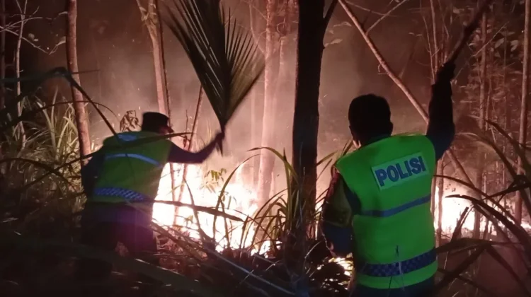 Kebakaran Lahan di Kebumen, Api Padam 1 Jam