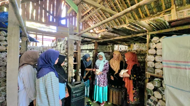 Unsoed Dorong Penguatan Agroindustri Jamur Tiram di Desa Winduaji