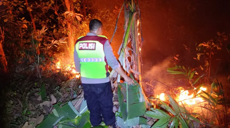 Kebakaran Hanguskan 1,4 Hektare Hutan Jati di Kebumen