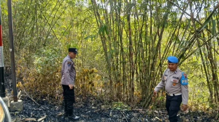 Lahan Bambu di Kebumen Terbakar