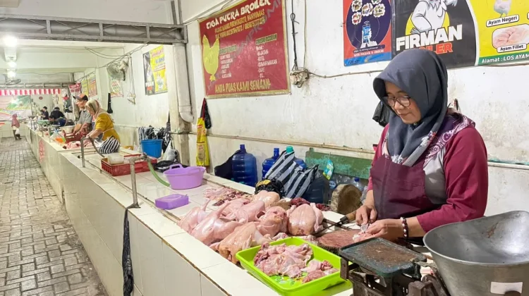 Harga Ayam Naik, Pedagang Pasar Manis Batasi Stok