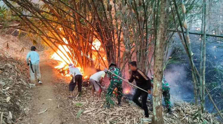 Lahan Seluas 15 Hektare di Sidareja Terbakar, BPBD, TNI-Polri dan Warga Padamkan Api