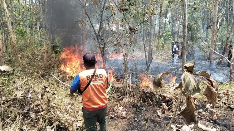 BPBD Banyumas Catat 54 Karhutla, Luas Terdampak 52,53 Hektare