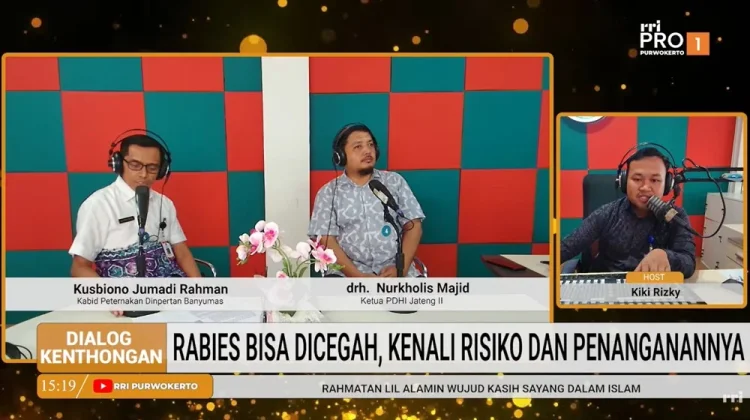 Cegah Rabies dengan Mengenali Risiko dan Penanganan yang Tepat