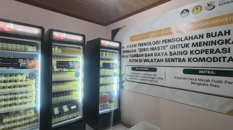 LPPM Unsoed Kembangkan Hilirisasi Nanas Berbasis Zero Waste