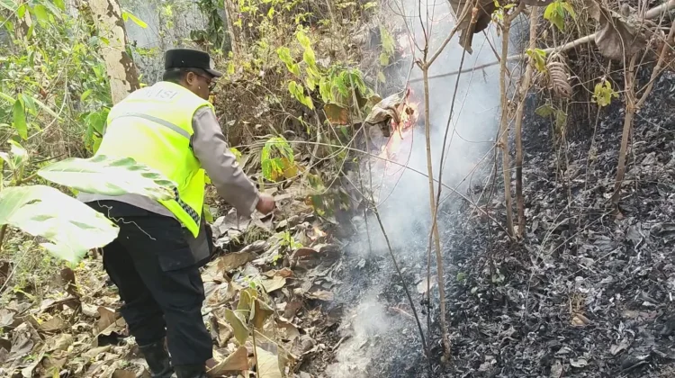 Dua Hektare Lahan Hutan di Buayan Terbakar