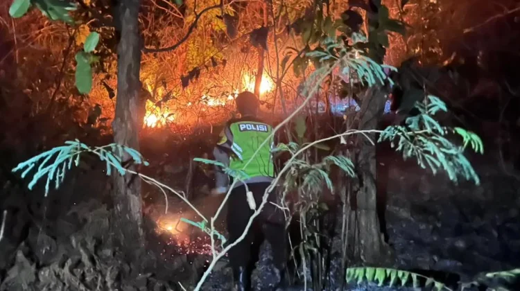 5 Hektare Lahan Perhutani Buayan Ludes Terbakar