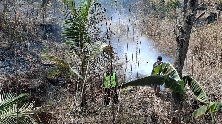 Kebakaran Lahan Melanda Dua Kecamatan di Kebumen