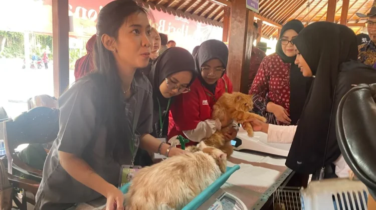 Vaksinasi Hewan Gratis Jadi Upaya Cegah Rabies di Banyumas