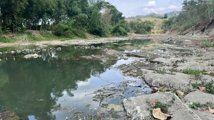 Sungai Mengering, Petani Desa Kracak Andalkan Sumur untuk Irigasi