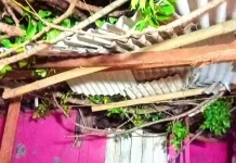Pohon Tumbang Timpa Balai Pertemuan di Tegalkamulyan