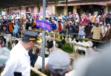 Festival Kambing Dorong Lumbir Jadi Sentra Ternak