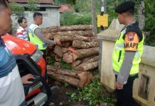 Warga Sruweng Kebumen Tersengat Listrik saat Cari Pakan Ternak