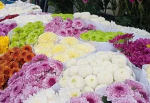 Bunga di hari Valentine