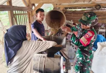 Pemilik Penggiling Padi di Brebes Gratiskan Layanan untuk Petani