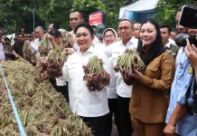 Rombongan Komisi IV DPR RI Kunjungi Pabrik Pengolahan Bawang Merah di Brebes