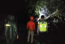 Angin Kencang Rusak Tiga Rumah dan Tutup Jalan di Kebumen
