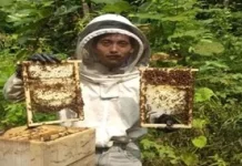 Kebun Buah dan Peternakan Lebah Madu: Satu Lahan, Dua Hasil