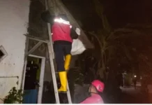 Bersihkan Toren, Pria di Kroya Meninggal Dunia usai Disengat Tawon Vespa