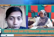 Strategi Cerdas Atasi Keterbatasan Lahan