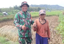 TMMD Brebes Bawa Harapan Baru bagi Petani Cikuya